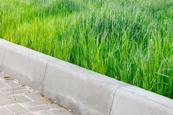 Concrete Curb Repair in Visalia