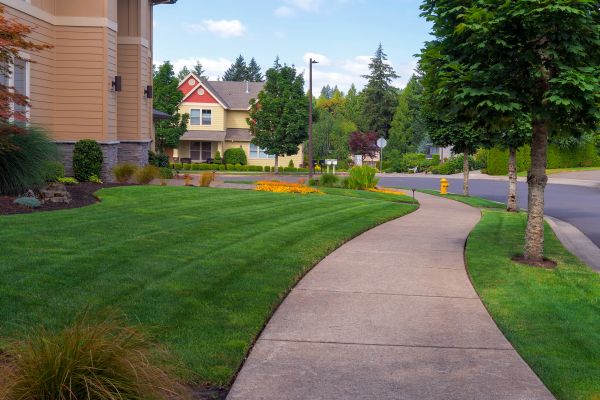 Cost of Sidewalk Patching in Visalia