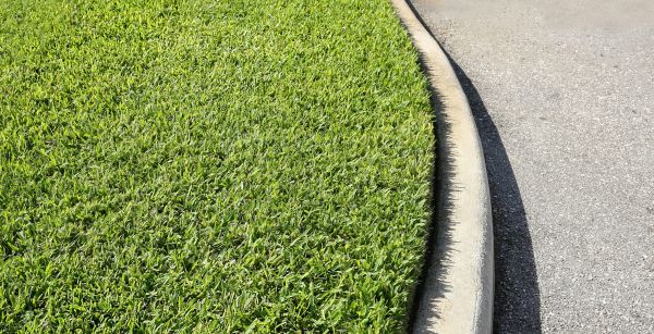 Driveway Curb Repair in Visalia